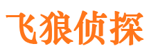 安康市私家侦探